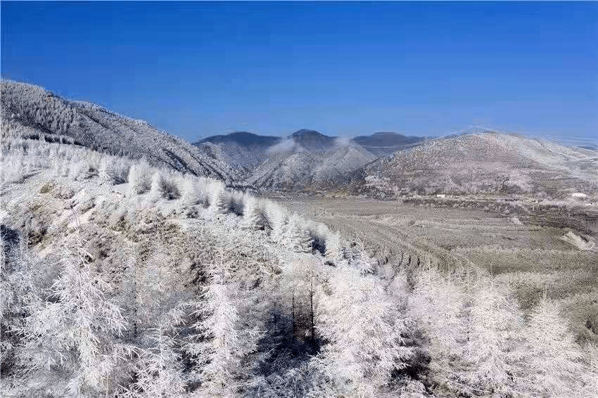 滑雪哥简谱_滑雪图片卡通