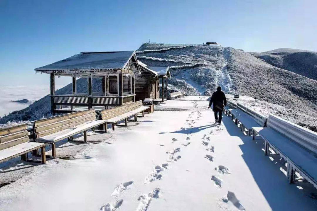 韭菜坪的雪那么美