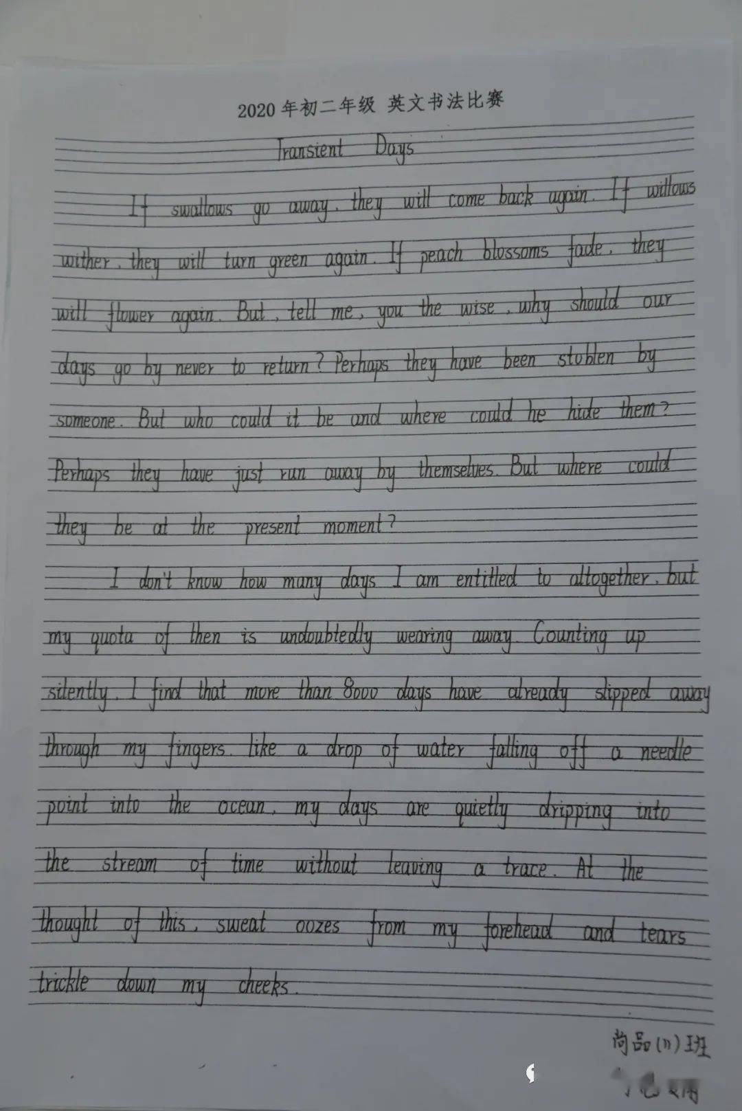 杨娜简谱_刀郎的前妻杨娜图片(3)