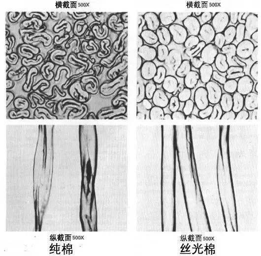 丝光处理后棉纤维形态结构的变化在常温状态下用稀碱溶液对棉纤维进行