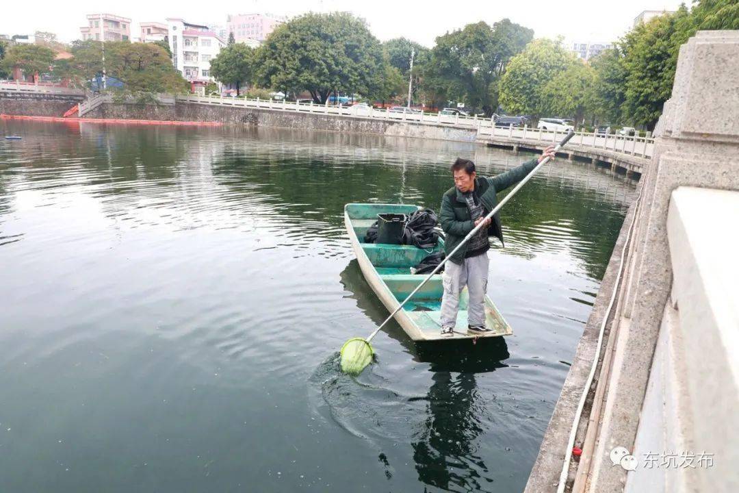 泰安鱼池村人口_泰安道朗里峪村图片