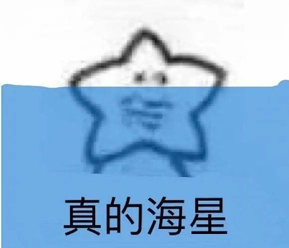 沙雕海星表情包