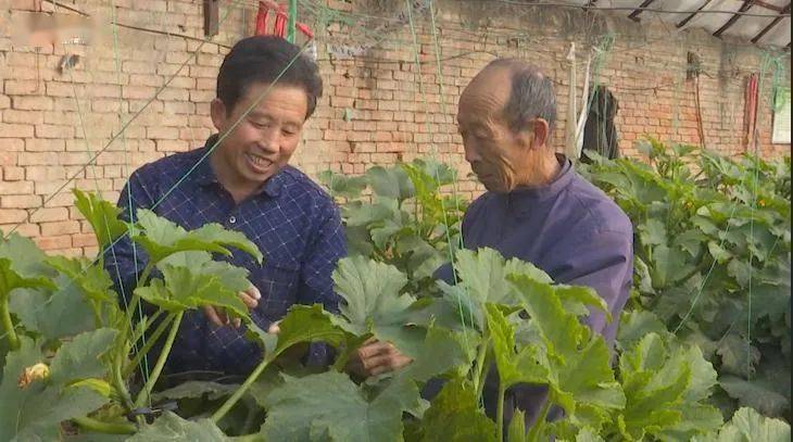 全国劳模风采闫振国带着乡亲们奔向科技致富路