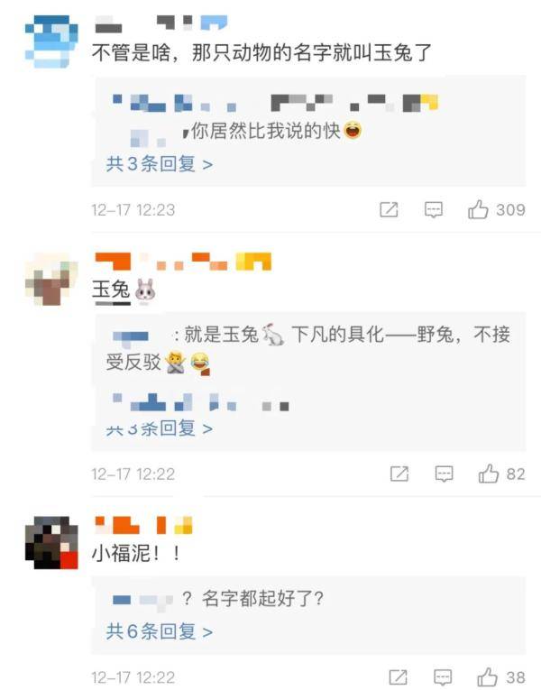 网友|出趟差不容易！网友：像极了军训回来的我