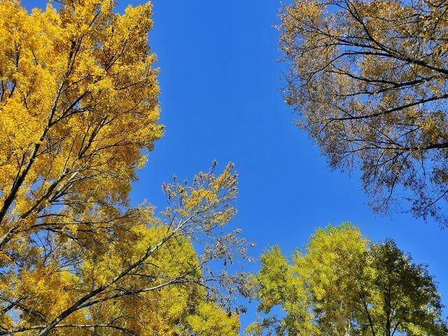 西宁人民公园初秋的景色