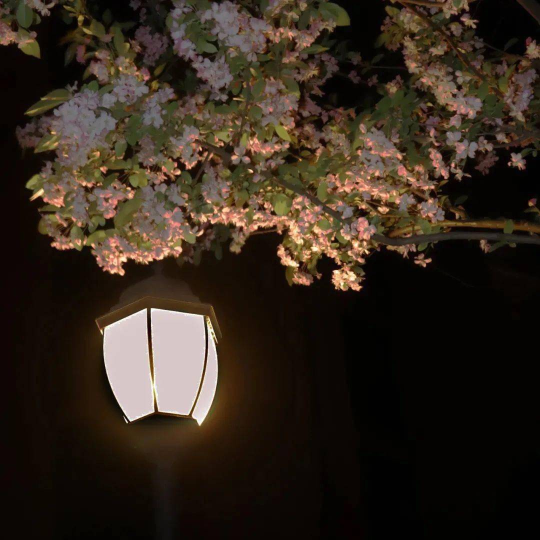 47都道府県で世界平和を願い「竹あかり」を一斉点灯する「みんなの想火プロジェクト」、最終開催2022年度の各地のリーダー「47サムライ」を募集 ...