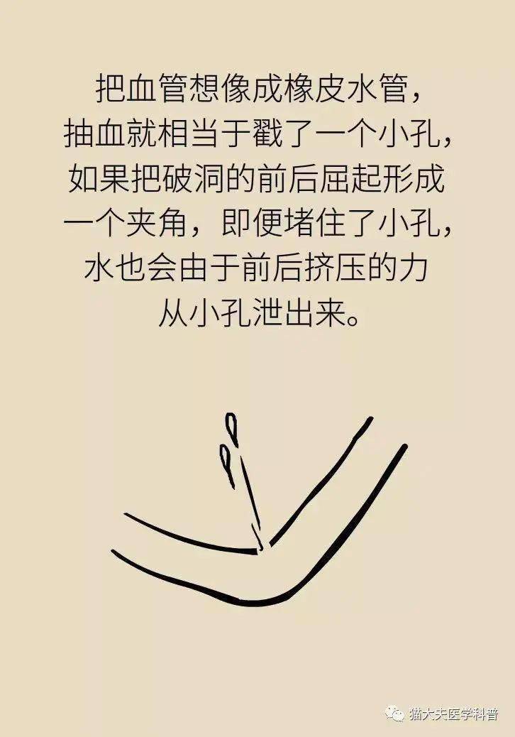 成语青什么血(4)