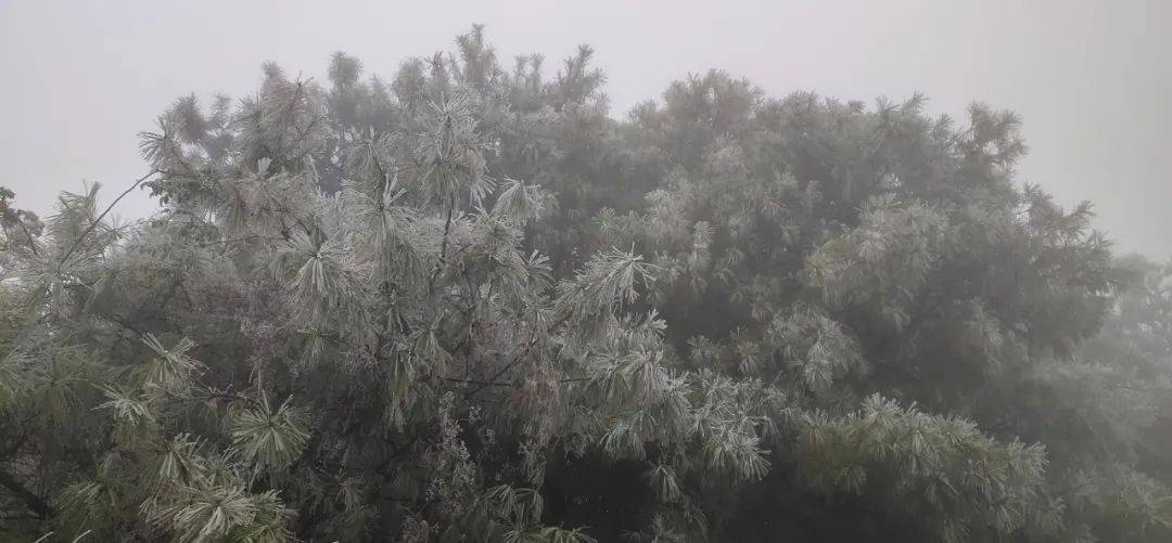 泸西要下雪