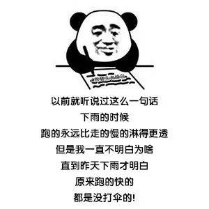 熊猫日记 i 2020年12月19日 淋雨