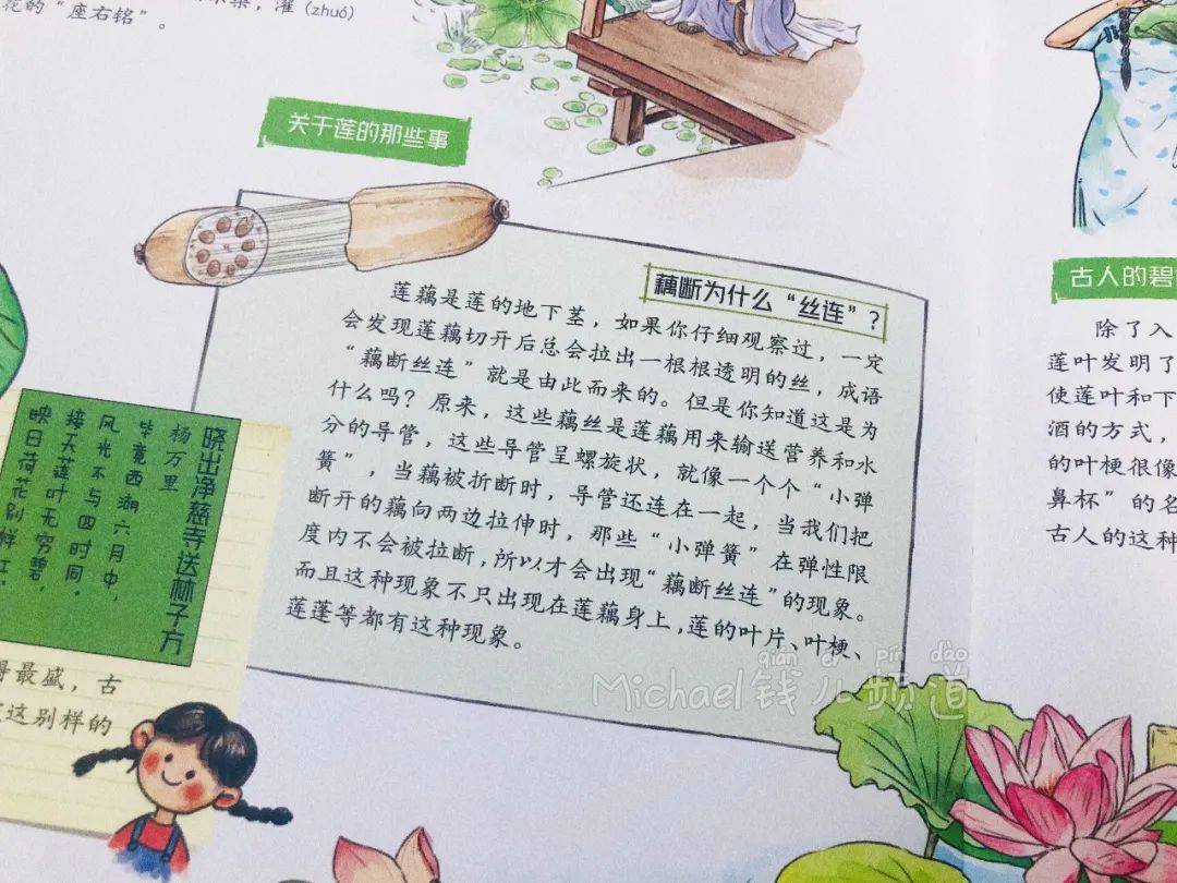 简谱藕断丝连(3)