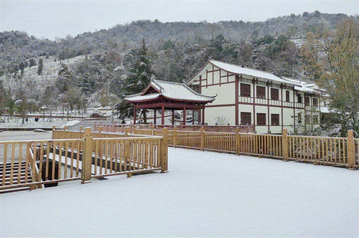 蒙顶风光,今日雪景大赏!
