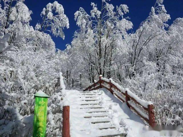 推荐丨你被秦岭雪景刷屏了吗?凤县给您最全赏雪攻略