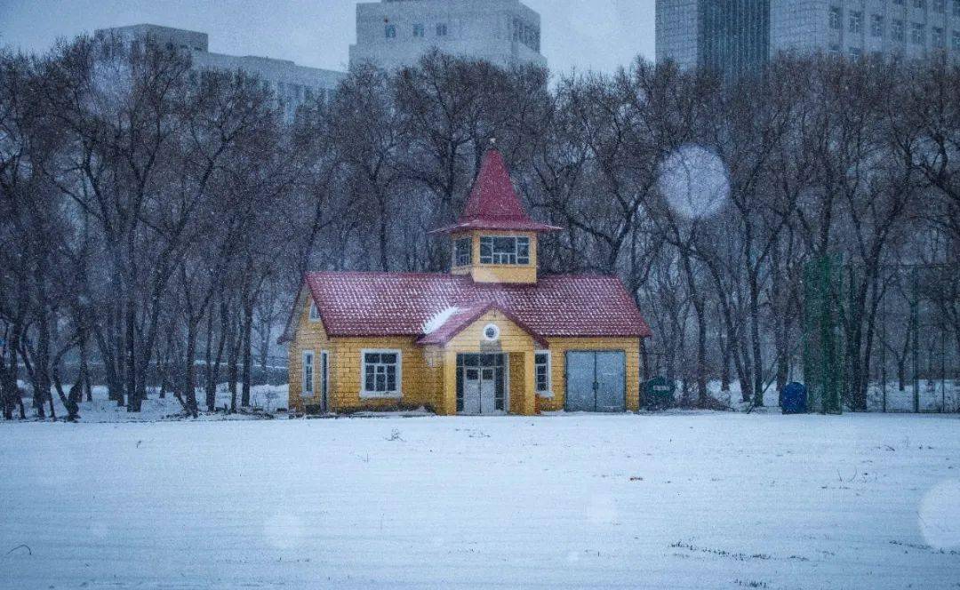 龙江高校雪景联动—东北林业大学 冰城皓色,谁能入君眼眸?