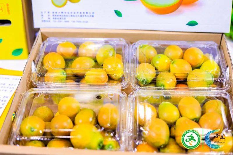 澄迈脆蜜金桔受"吃货"游客青睐