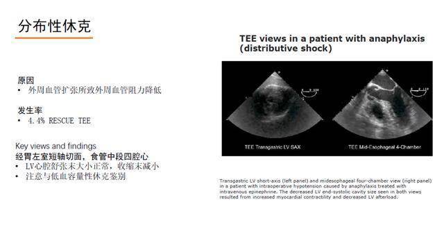 5aee1c55edc046a886f9dcd98ee7e994.jpeg