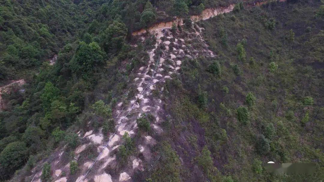 大埔光德人口_广东梅州大埔光德地图