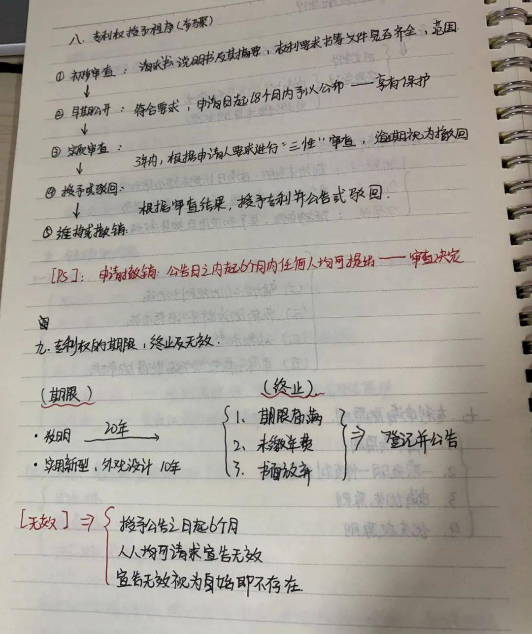 树莓简谱_树莓图片(3)