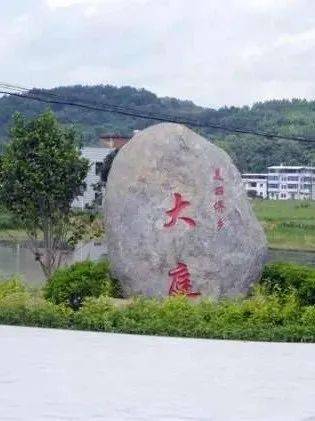大庭村多措并举再争先百芳齐艳春满园