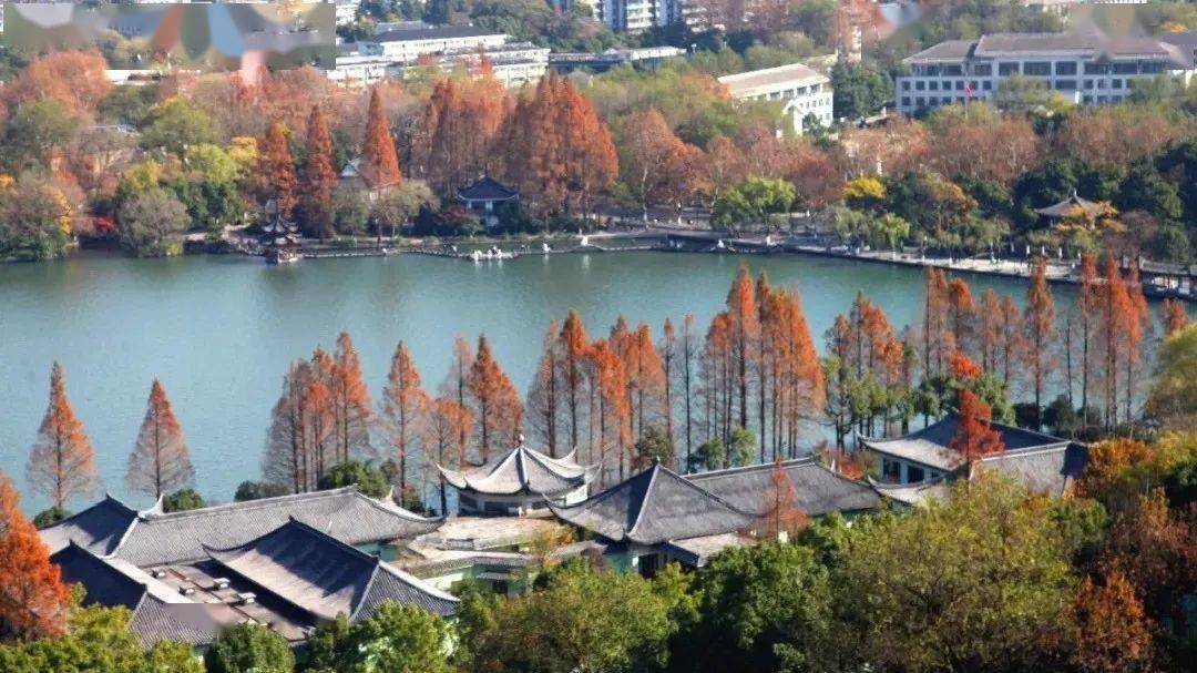 西湖游船最新活动 061b55893ec0489e958ebc1b1424eca1.jpeg