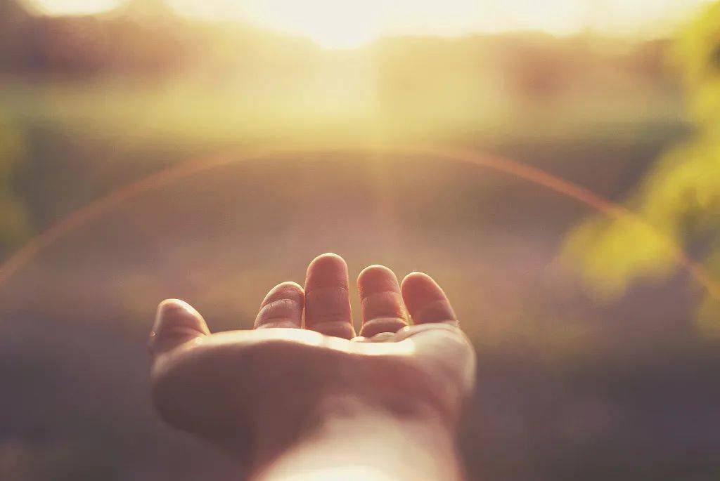 海燕的幸福 4321f538c19d43feac8fe0a8ef3a754c.jpeg