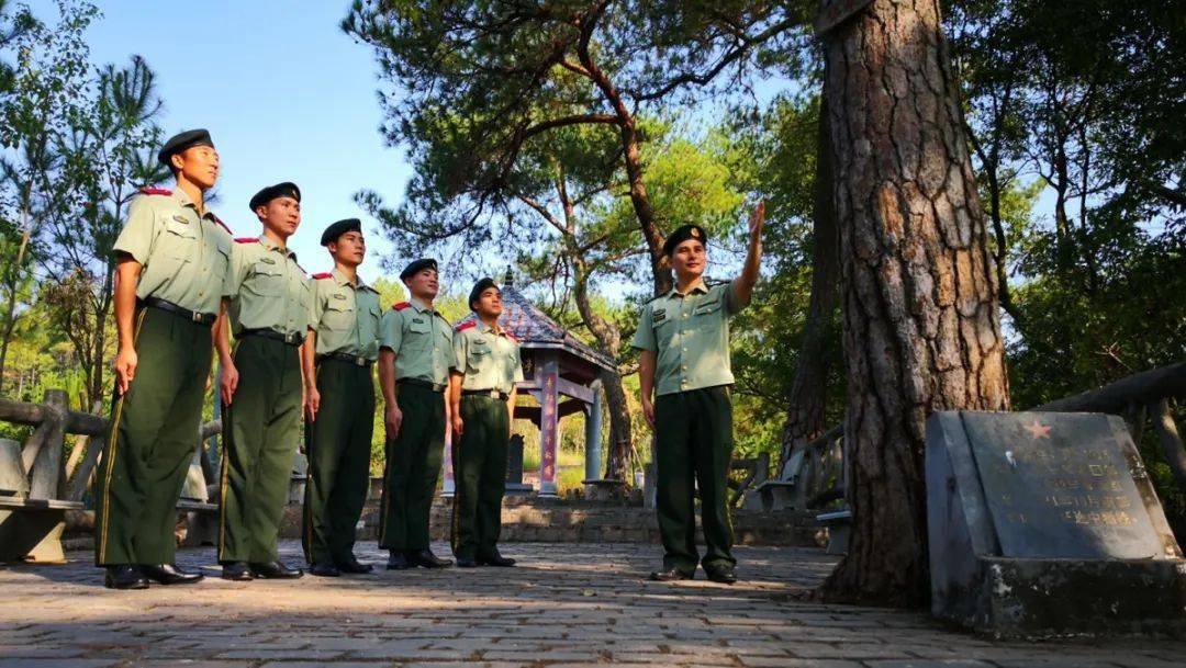 他们纷纷立下誓言:要像青松一样高洁常青.如果有人"光荣"了,活着的人