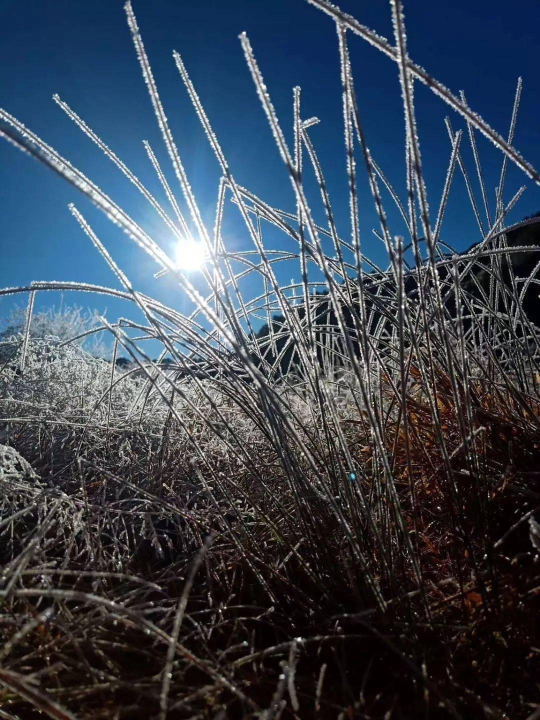 雪遇见太阳就融化是什么原理_太阳出来雪融化的图片