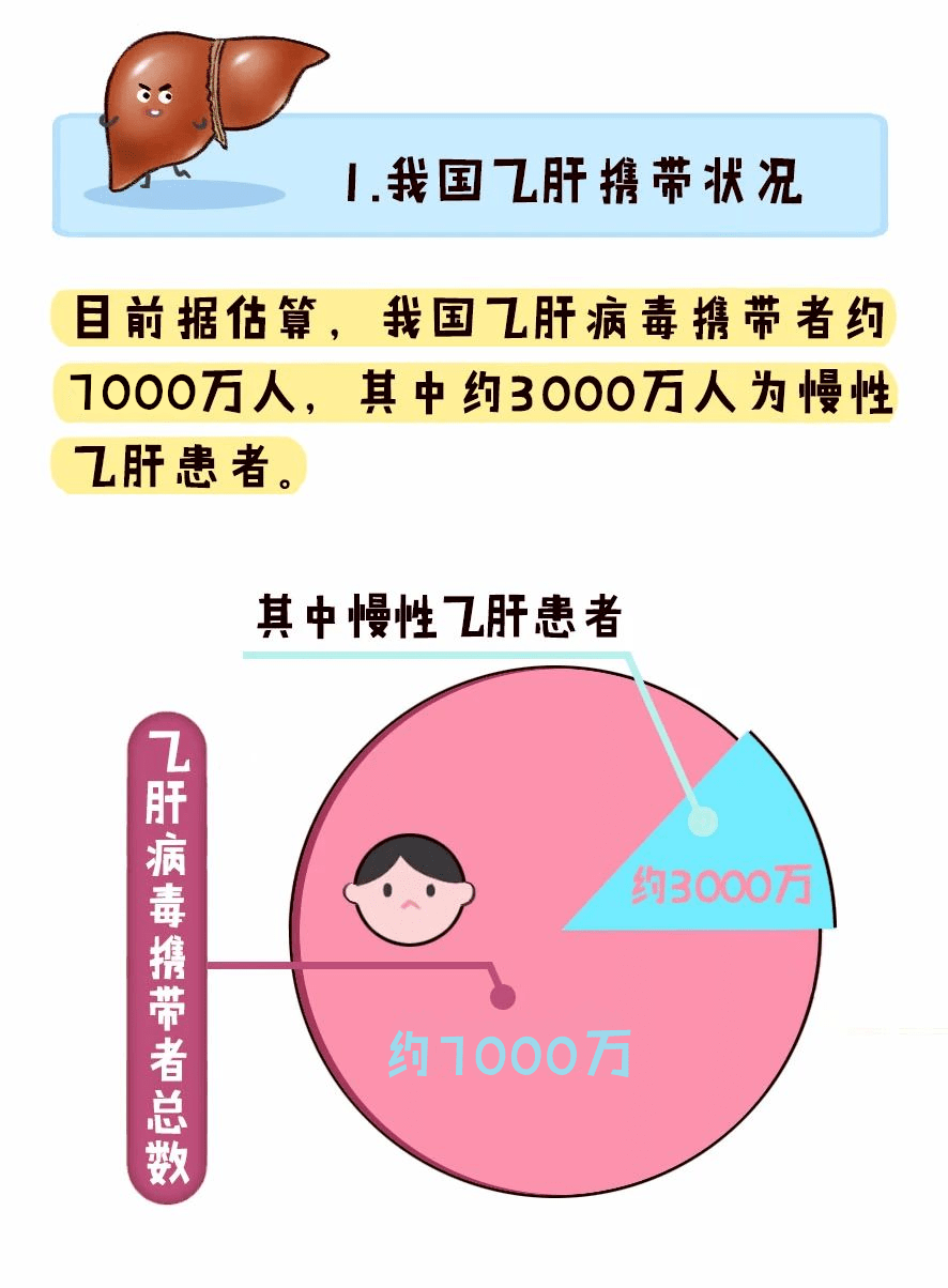 孕妇肝gdp(2)