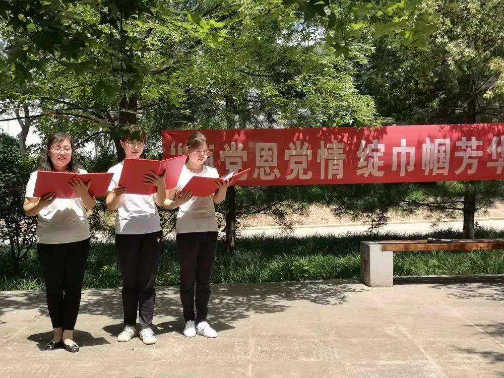 社区人口普查主题党日活动(3)