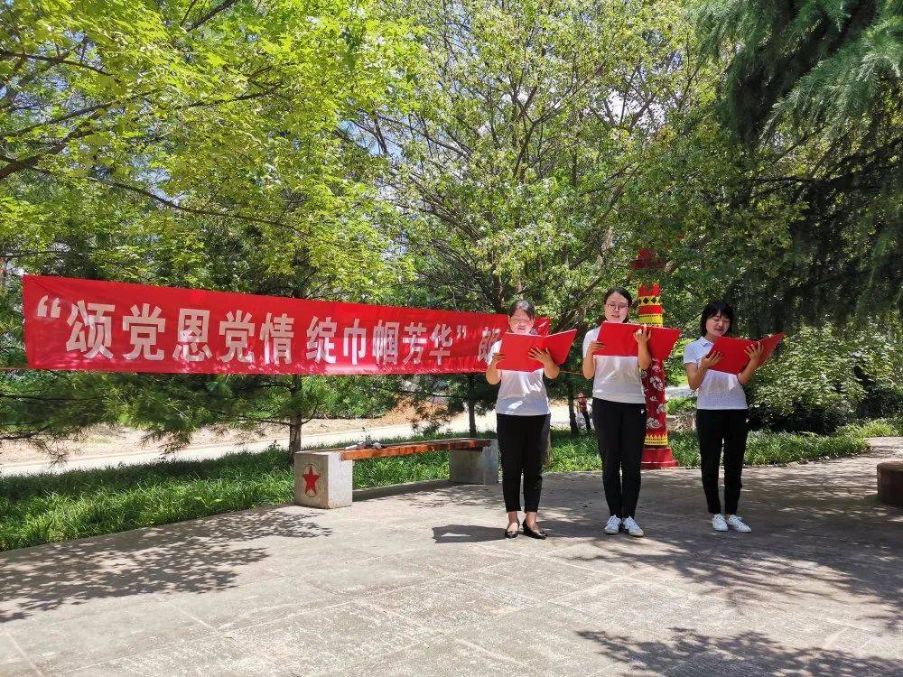 社区人口普查主题党日活动(3)
