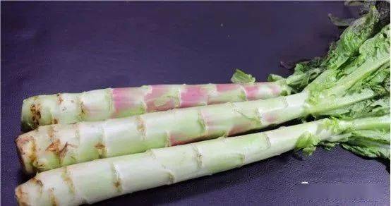 笋什么时候有 7476e49a135540d782e586d09577530c.jpeg