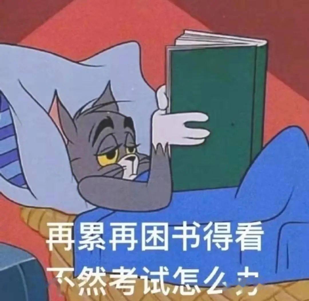 e2972ff1abec4c97bb4826ed051d3d24.jpeg