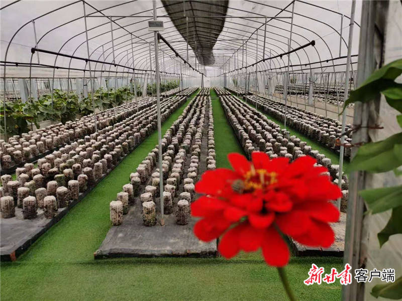 常家河镇人口_人口普查(3)