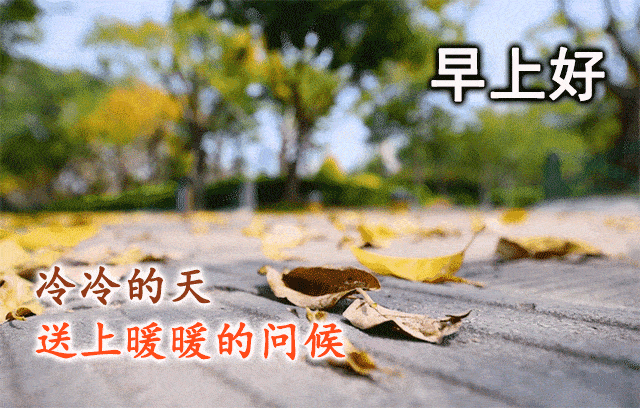 3238c799b7504546b2df58cc96b1a5c1.gif