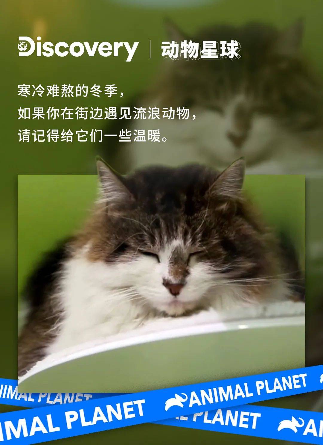 f29a2d4e6f3f471c9c3df3cd8316a48a.jpeg