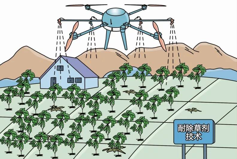 问题|【转基因你问我答】转基因的来源基因有哪些？安全吗？