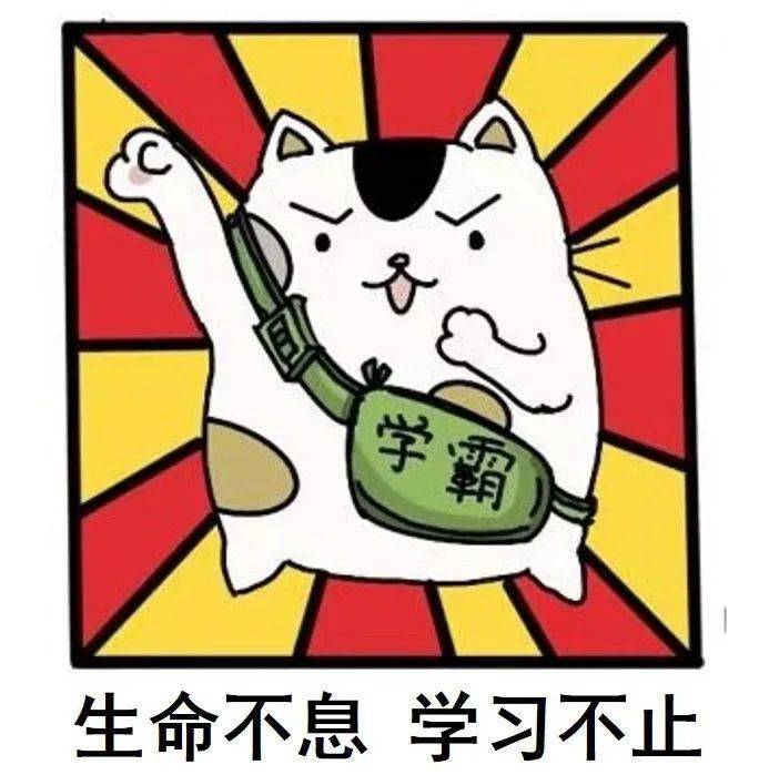 重大专属 喵喵表情包