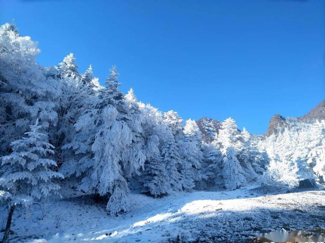 在一望无垠的蓝天下 看尽名山 不少游客来这里看雪景的同时 又撞上