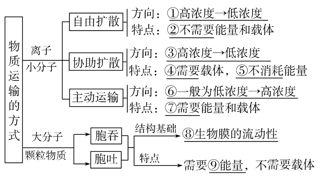 高考生物一轮复习分子与细胞思维导图专题汇总汇总