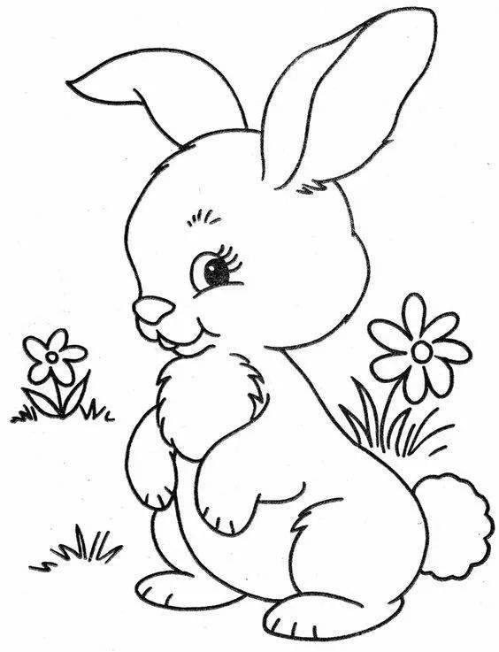 【简笔画】兔子的线稿简笔画
