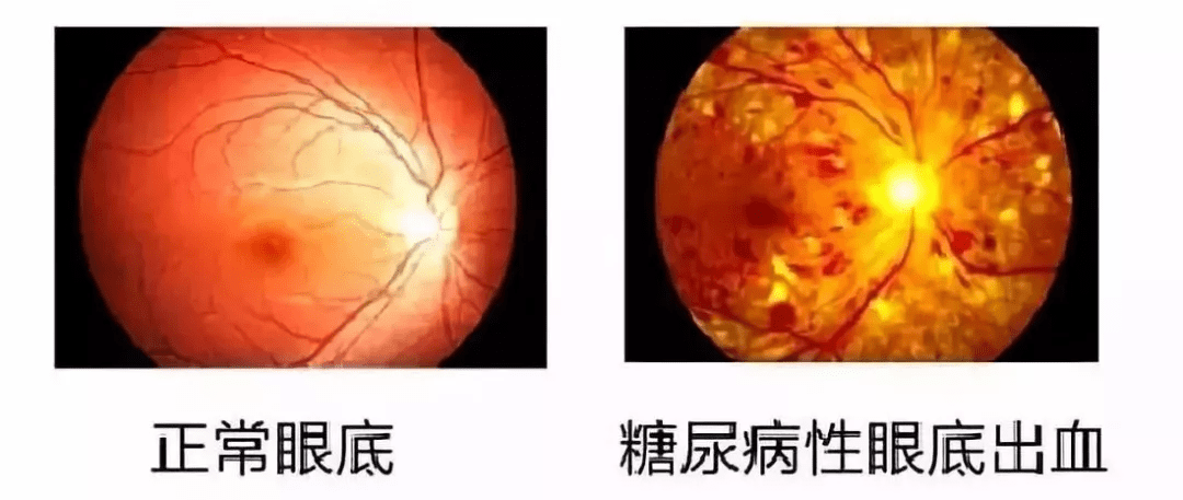 de303e17812540b4b97c0ba8168a417d.png