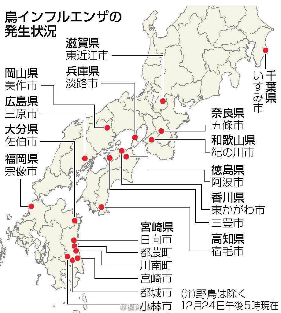 日本是什么国家 f439c757769b40a09a10d323c53a9a4f.jpeg