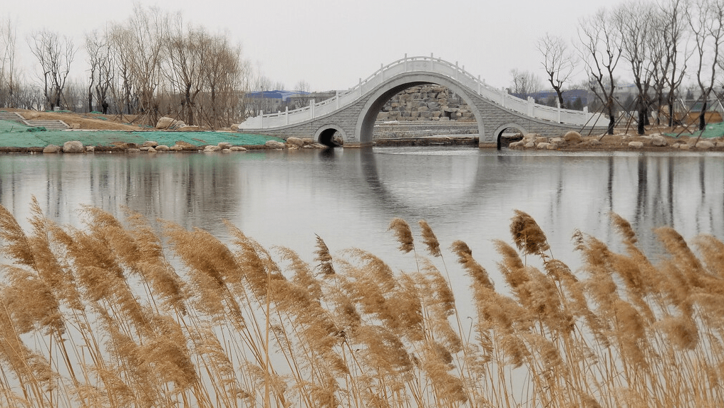 定国湖平原新区凤湖牧野湖还有夏荷公园卫河公园,向阳公园,平原湖