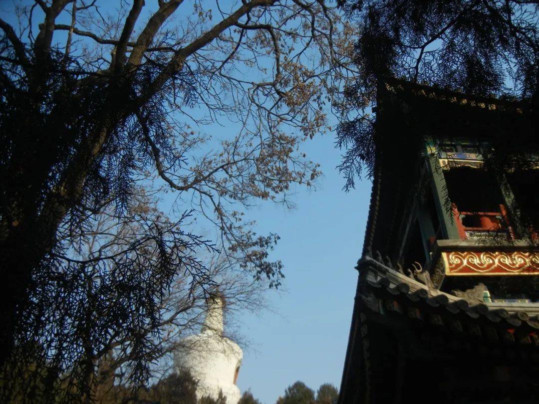 清朝四合院设计图