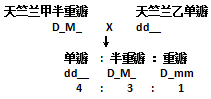 孟德尔应用什么原理_孟德尔遗传定律(3)