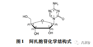 注射用阿扎胞苷仿制药豁免体内生物等效性研究的一般考虑