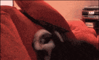 5c4e6707ef0d4e9088ea458eb8ae0694.gif