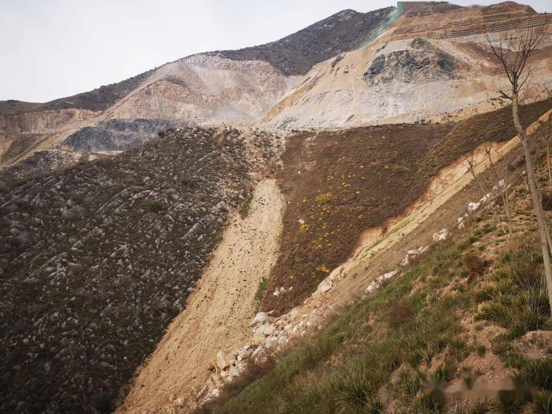 矿山废弃地生态植被恢复的特点