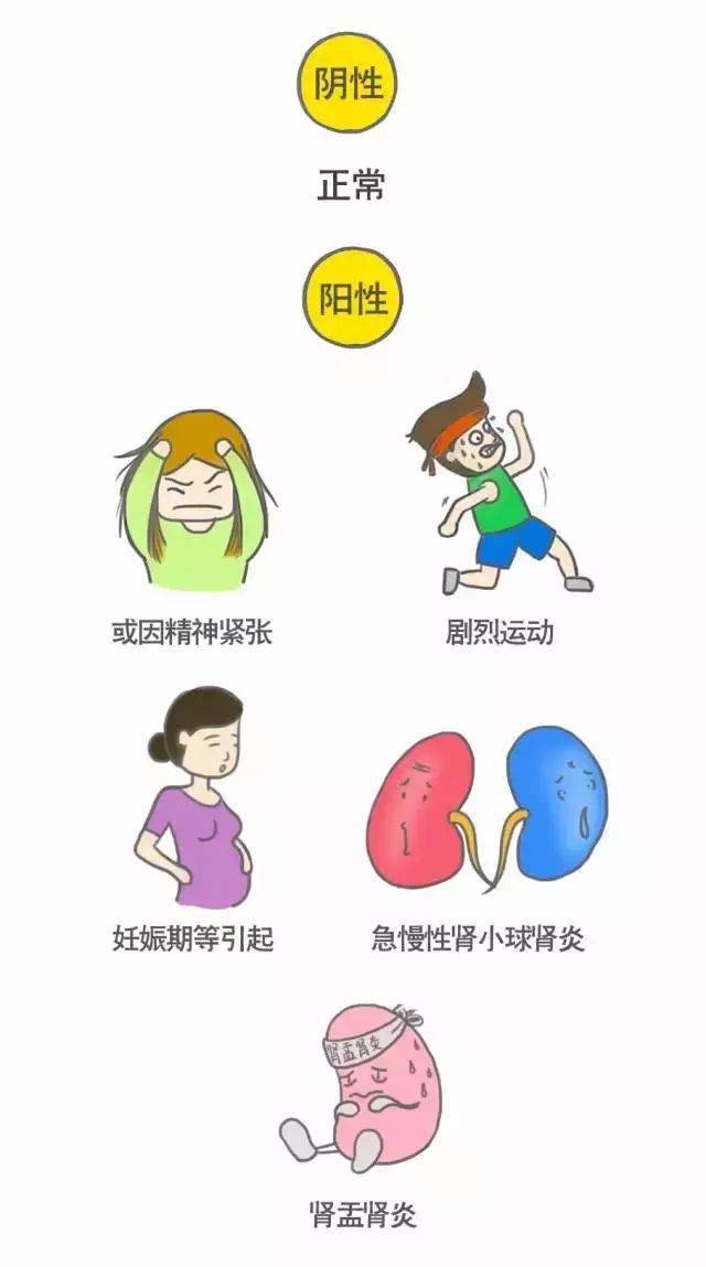 4b9fe51255f9431ab762c96aab557d46.jpeg