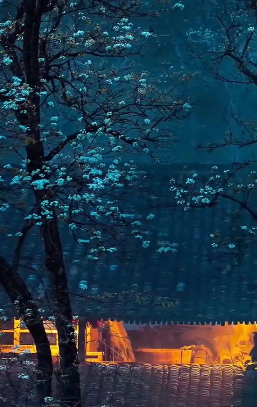 一日一言 l 岁月不堪数,故人不如初