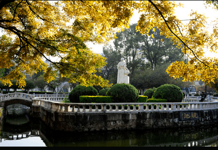 云南师范大学大排名%_云南师范大学2021届保研概况,保研率低,但是保研学校